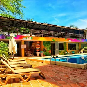 book here